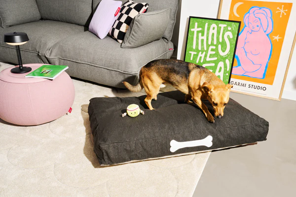 Doggielounge Large Dog Bed (indoor/outdoor) - Image 12