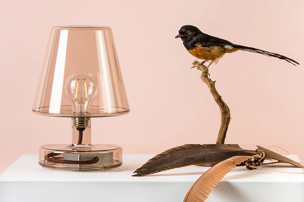 Transloetje Table Lamp (Special 2 Pack Offer) - Image 8